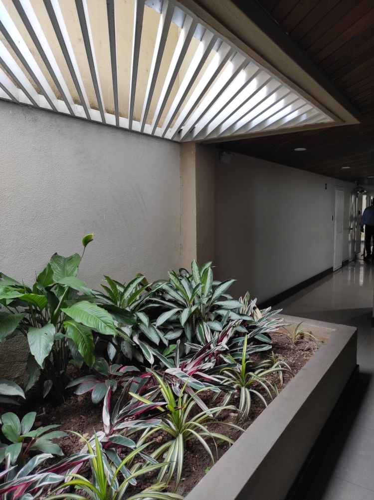 Venta Apartamentos PH Dplex en Las Esmeraldas, conjunto Carabal, con rea +125 m2, calle terminal con doble control de acceso, amplias reas comunes y numerosos puestos para visitantes.