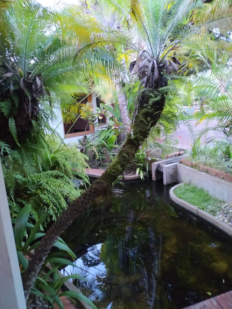 Venta Casa La Lagunita