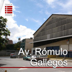 Venta Galpn Industrial Montecristo Avenida Rmulo Gallegos
