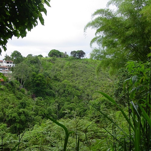 Se vende espectacular terreno en El Hatillo sector La Unin